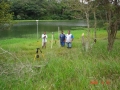 Fazenda Boa Vista em Arandu